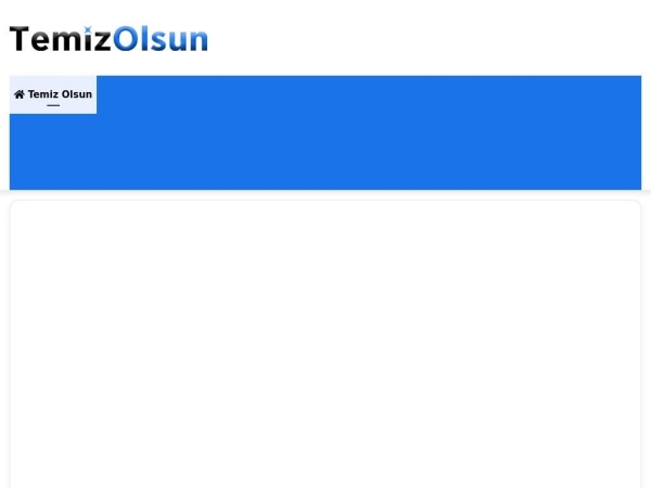 temizolsun.com